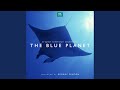 The Blue Planet