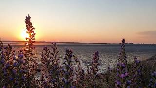 BORKUM🌅🌺 - AUSZEIT🌊❤ für die ganze FAMILIE 👨‍👩‍👧‍👦  im URLAUB🌺 auf der INSEL 🏖⚓ 07.07.2020