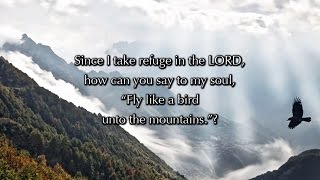 Psalm 11, Since I Take Refuge In The LORD (a new musical setting)