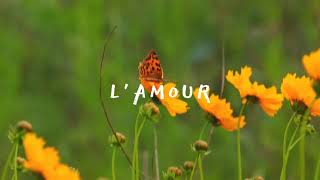 FREE Emotional Piano Ballad Instrumental Beat "L'AMOUR"