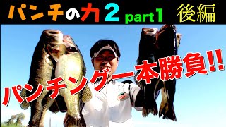 【バス釣り 琵琶湖 夏】パンチング一本勝負！パンチ上田のトーナメントに密着！[目探] 庄司プロとの対決が見逃せない！パンチの力2part1 後編