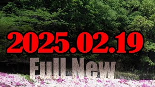 📞 テレフォン人生相談 👩‍🎓「元ゲームプログラマーの苦悩…転職するべき？」三石由起子先生