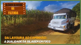 Da Lavoura ao Caminhão: A Qualidade da Silagem em Foco