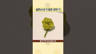 살면서 보기 힘든 장면 #11