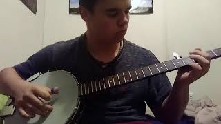 totally a persian setar and not a banjo tuned like a persian setar