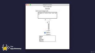 Buttons, Entry, and Setting Component Options | 100 Days of Code: The Complete Python Pro Bootcamp