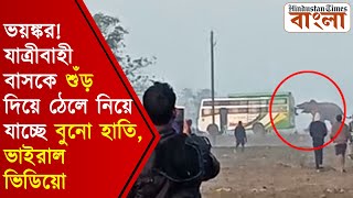 ভয়ঙ্কর! যাত্রীবাহী বাসকে শুঁড় দিয়ে ঠেলে নিয়ে যাচ্ছে বুনো হাতি, ভাইরাল ভিডিয়ো