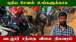 புதிய சேனல் உங்களுக்காக | வடலூர் சந்தை விலை நிலவரம் | TAMIL | GUNA NATTUKOZI PANNAI