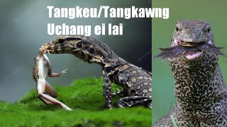 Tangkeu/Tangkawng Uchang ei lai