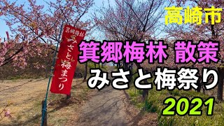 【箕郷梅林2021】散策／みさと梅まつり  （善地梅林広場→みさと梅公園）