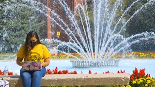 A Day in the Life of a UWM Nursing Student Learning Online