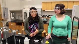 Lab 1 - Common Lab Techniques and Density - 101