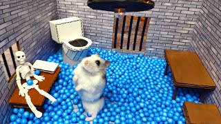 🐹Hamster escapes the awesome maze for Pets in real life 🐹 in Hamster stories Part 3