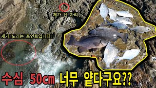 수심 50cm 이렇게 얕은수심에서도 대박이 터진다고????용왕님 끝둥이  !!  강한 파도와 거센 바람도 못막는 어복 끝판왕!! (feat. 45cm 벵에돔) 속공 잠수전유동