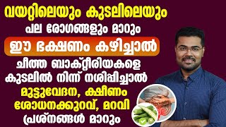 വയറ്റിലെയും കുടലിലെയും പല രോഗങ്ങളും മാറും ഈ ഭക്ഷണം കഴിച്ചാൽ. ചീത്ത ബാക്ട്ടീരിയകളെ നശിപ്പിക്കുന്നു |