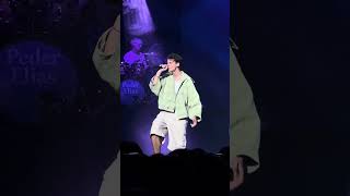 241116 LOVE IN SEOUL 2024 - 페더 엘리아스 Peder Elias - Twinkle Twinkle