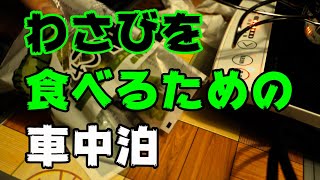 わさびを食べるために車中泊に行く[車中飯]