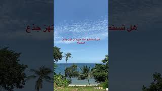 امّنا مريم عندما أُمرت “ وهزي اليك بجذع النخلة…” 🌴✨#shorts