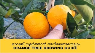 ഓറഞ്ച് വളർത്താൻ /ORANGE GROWING GUIDE