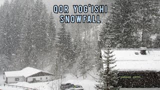 Qor yog'ishi/Relaxing snowfall/降雪/снегопад/Қор