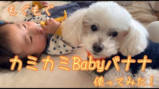 「生後4ヵ月」カミカミBabyバナナを使ってみた！