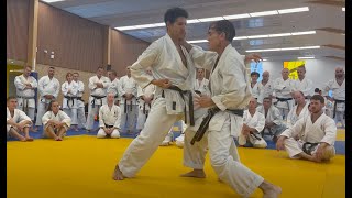 Rick Hotton sensei, relaxed heaviness, France 2023