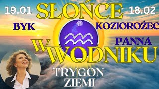 Słońce w Wodniku☀️19.01 - 18.02. — Trygon ziemi⛰️ Byk, Panna, Koziorożec