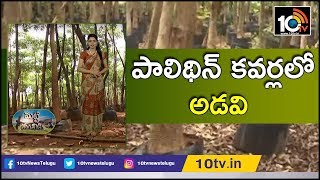 పాలిథిన్ కవర్లలో అడవి | Huge Trees Farming in Polythene Covers in East Godavari | Matti Manishi|10TV