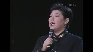 양희은, 방의경(Yang Heeun, Bang Eukyung) - 불나무 [꿈의 콘서트] | KBS 19940301 방송