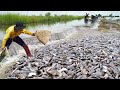 WOW! Amazing Catching Catfish by Hand on The Road Flooded 2024