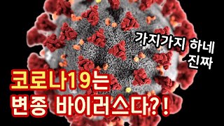 독성과 감염성이 높아지는 바이러스의 변이  / YTN 사이언스