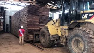 Loading a kiln to dry Cumaru lumber - Peru Maderas