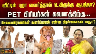 வீட்டில் புறா வளர்த்தால் உயிருக்கு ஆபத்தா? PET பிரியர்கள் கவனத்திற்கு! | Chennai Veterinary College