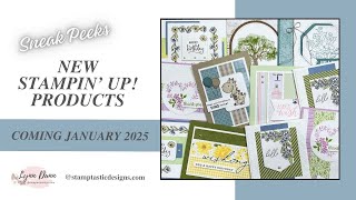 Stampin' Up 2025 Mini Catalog and Online Exclusives | Sneak Peeks