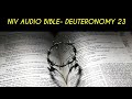 DEUTERONOMY 23 NIV AUDIO BIBLE (with text)