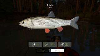 Russian Fishing 4 -Trophy Chub with bottom fishing