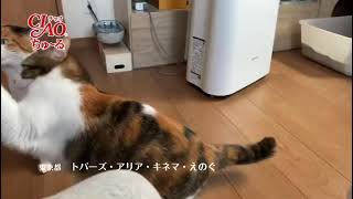 チュールメーカーで作った動画