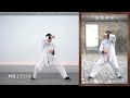 do you want to learn tai chi 太极拳名师陈炳亲授老架一路第76节69雀地龙