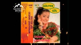 Gülten Gül - Niye Çattın Gaşlarını