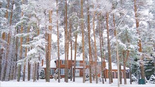 Winter Snow Walk and Cozy Homes in Forest area after Snow Falling video 4K