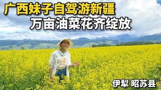 Ten thousand acres of canola flowers in Zhaosu, Xinjiang, China. 中国新疆昭苏县万亩油菜花，太美啦！