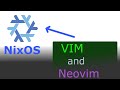 NixOS - Install VIM and Neovim
