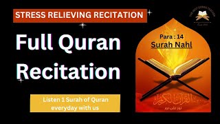 Full Quran Recitation I surah nahl #trending #teaching #deen #qurantilawat #istanbulturkey #islam