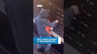 Arrest made in Snohomish Co. mail thefts