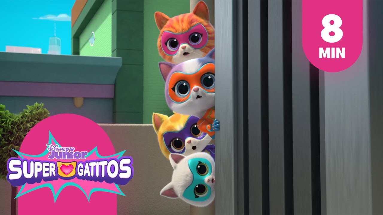 Conoce A Los Supergatitos - YouTube