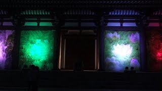 ”東長寺” 千年煌夜 2019 - ”Tochoji Temple” Hakata Old Town Light Up Walk