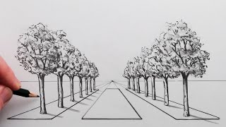 How to Draw a Road of Trees using 1-Point Perspective Step by Step