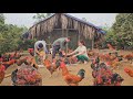 Catch chickens to sell to traders.  Take care of the pigs on the farm.  (Episode 150).