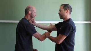 Wing Chun Pak Sau Drills #1