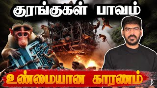 🚨தொடரப்போகும் மின்தடை! | உண்மையை மறைக்கும் அரசாங்கம்! | Sri Lanka | Tamil News